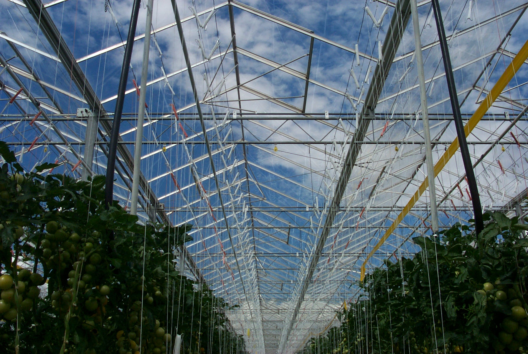 Greenhouse projects
