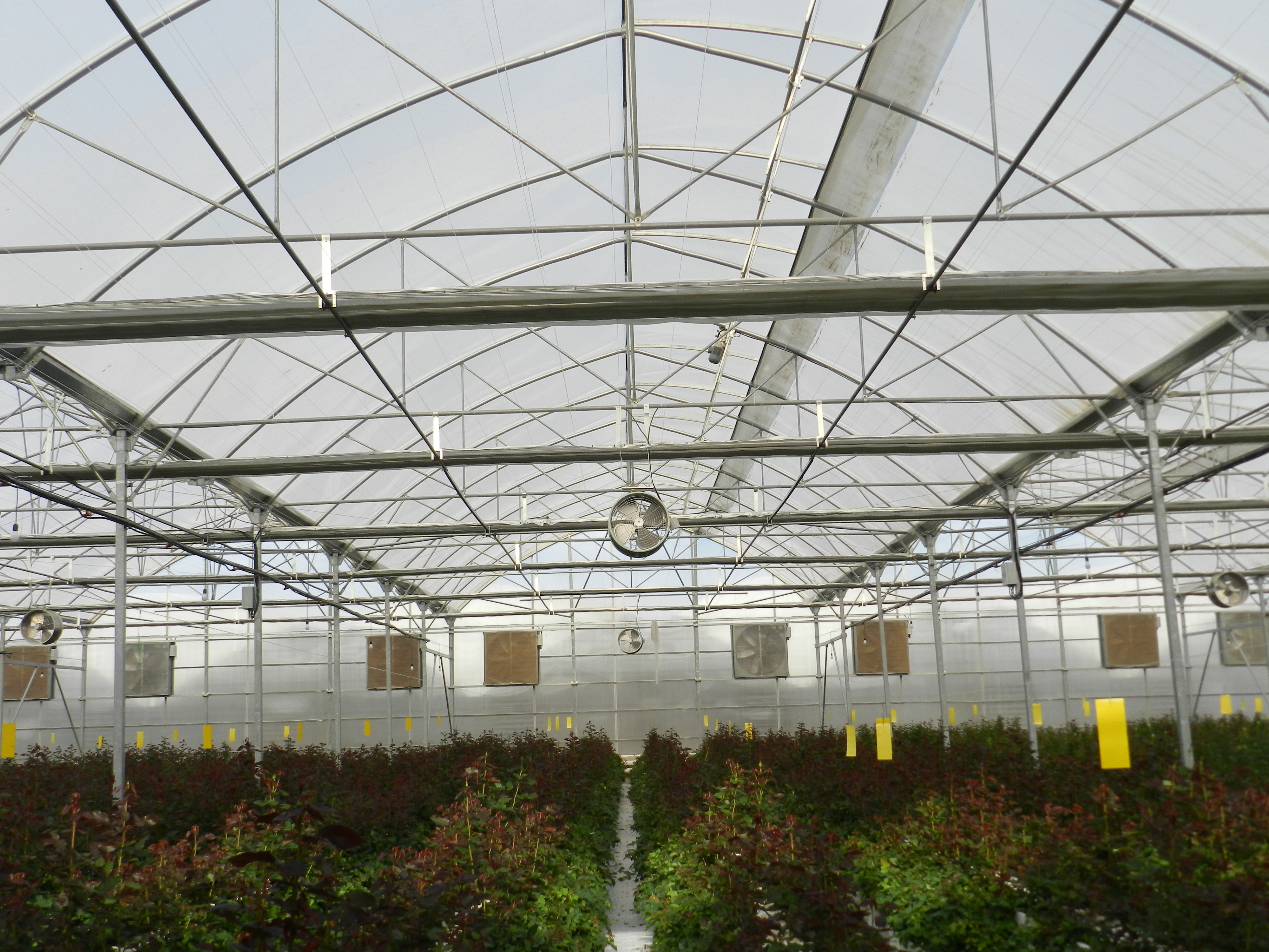 Greenhouse projects