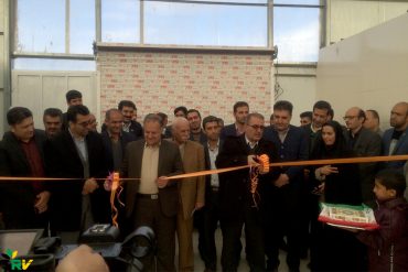 افتتاح مدرن‌ترین پروژه گلخانه‌ای گل رز استان فارس